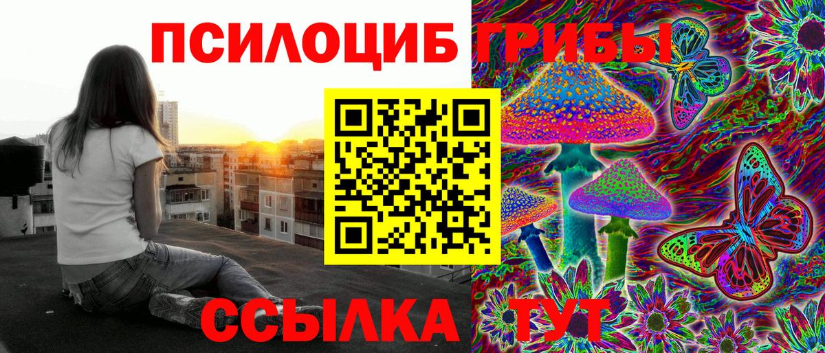 Галлюциногенные грибы Psilocybine cubensis  Галлюциногенные грибы Psilocybine cubensis  Братск  Вход с VPN 